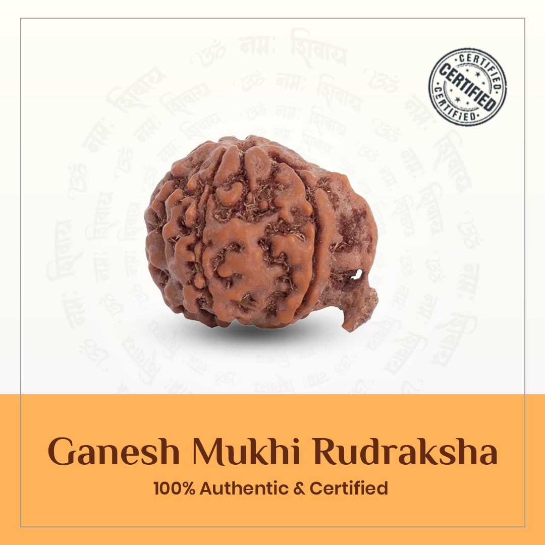Ganesh Rudraksh
