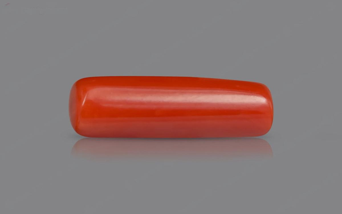 Red Coral - 7.81 Carats
