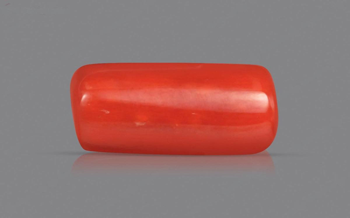 Red Coral - 4.04 Carats