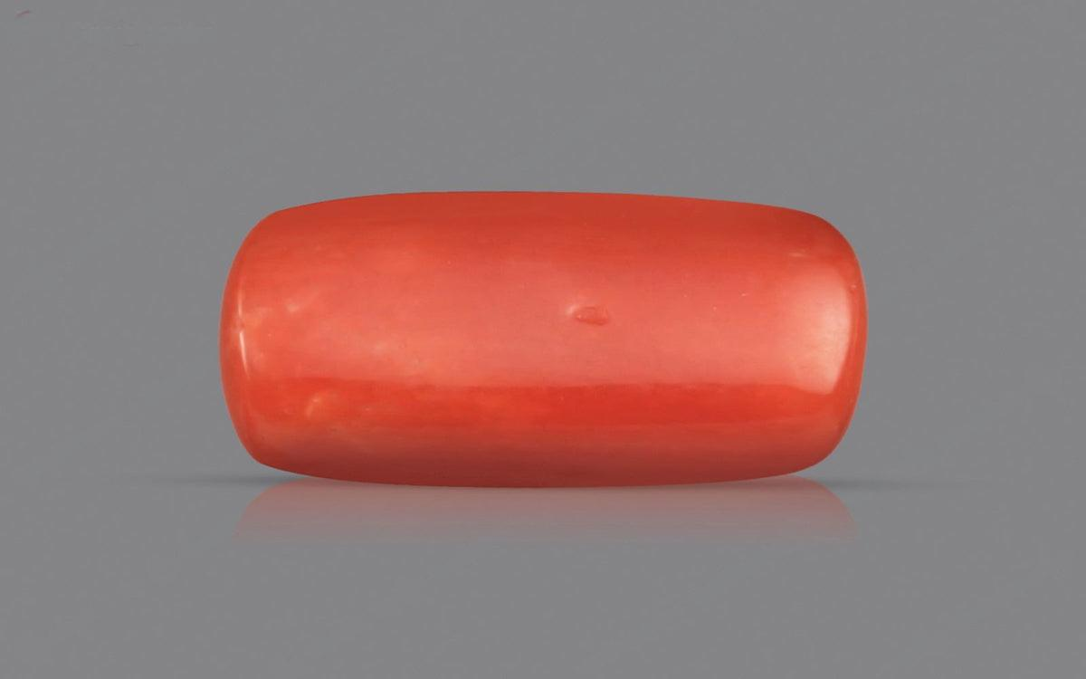 Red Coral - 3.5 Carats