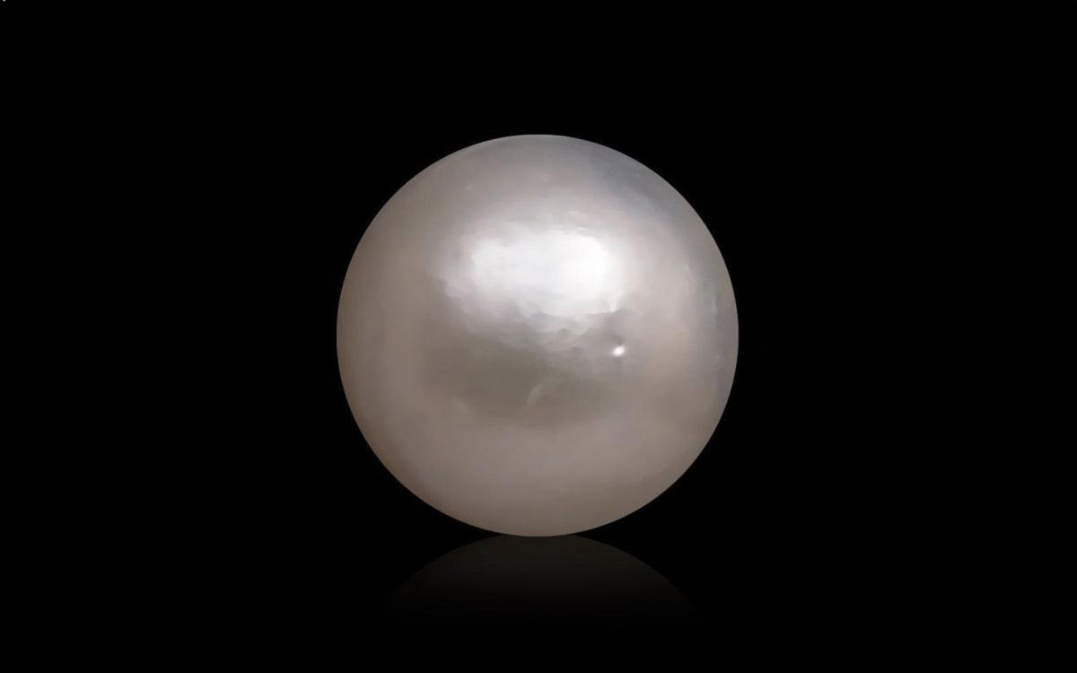 South Sea Pearl - 10.23 Carats