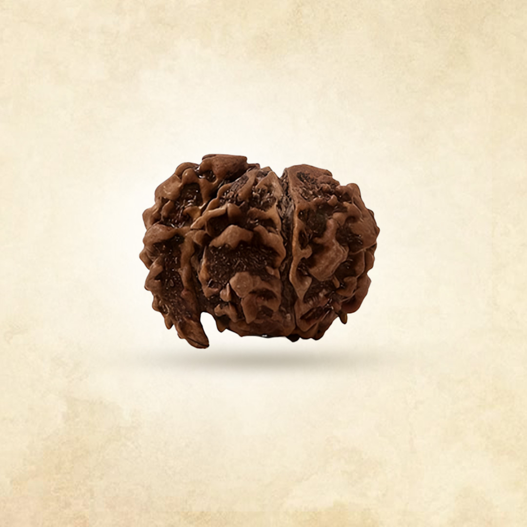 1 Mukhi Rudraksha Savar (Nepali)
