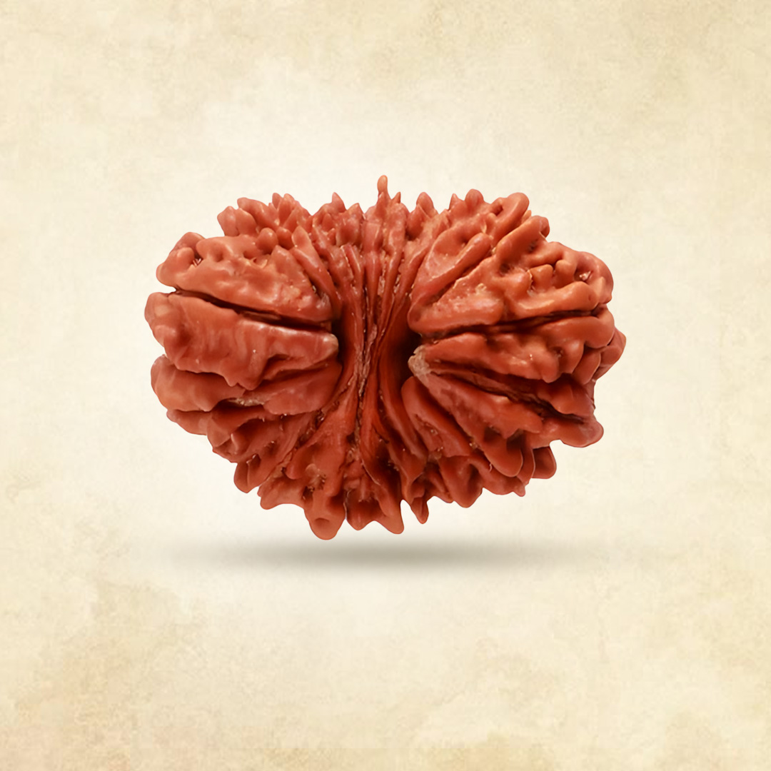 18 Mukhi Rudraksha (Nepali)